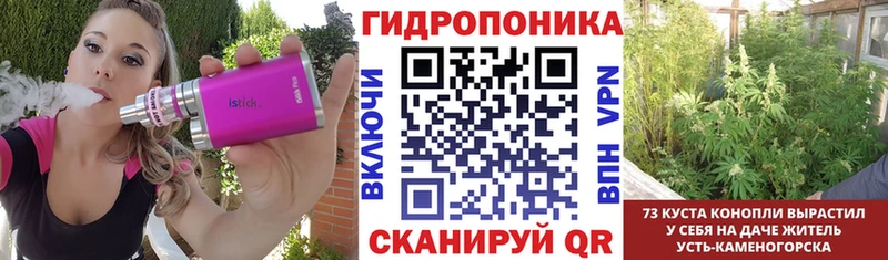 Бошки Шишки конопля  наркошоп  маркетплейс наркотические препараты  Осинники  hydra ССЫЛКА 
